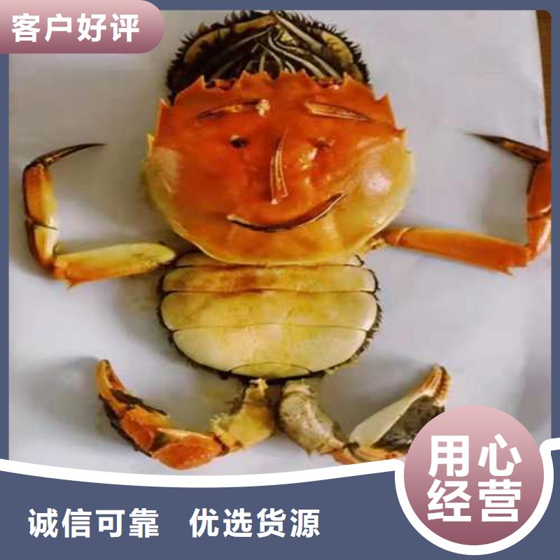 生产大闸蟹的销售厂家免费获取报价