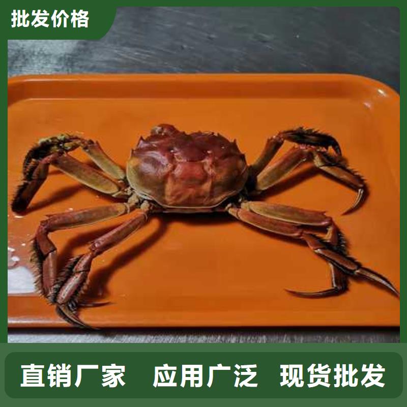阳澄湖大闸蟹直供同城生产商