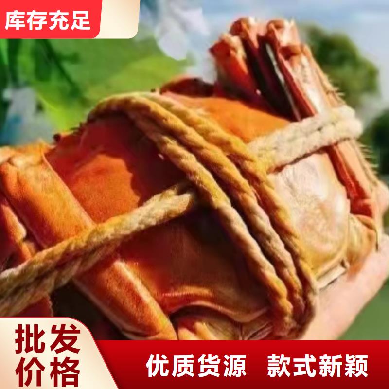 大闸蟹连锁店欢迎下单诚信厂家