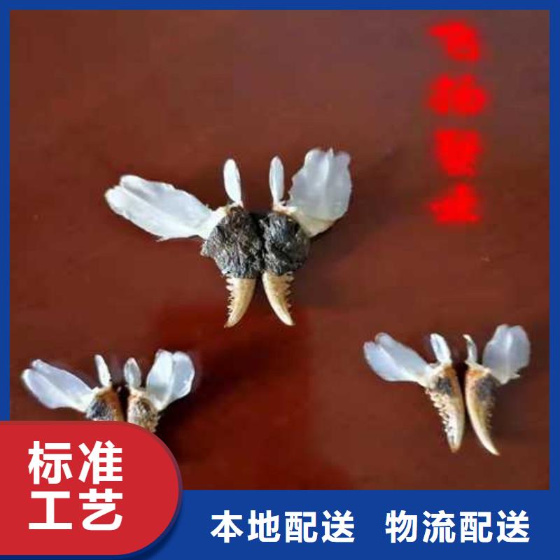 鲁山县阳澄湖农家乐当地制造商