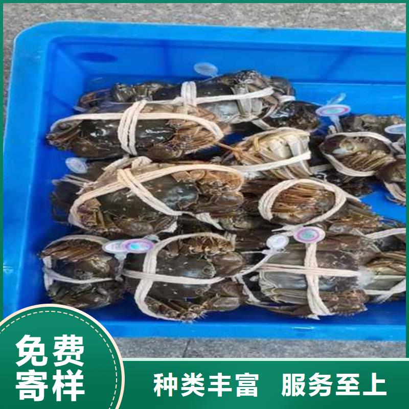 西华县阳澄湖莲花岛农家乐货源稳定