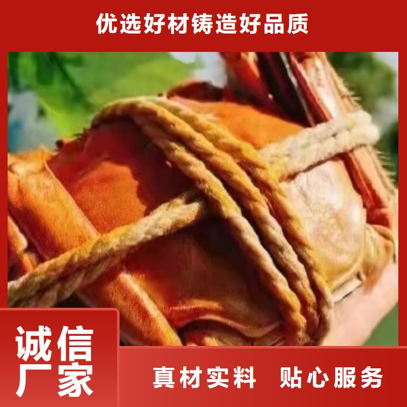 大闸蟹_多年生产经验厂家直销