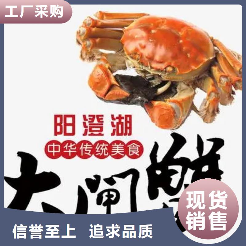 阳澄湖大闸蟹供货及时优良工艺