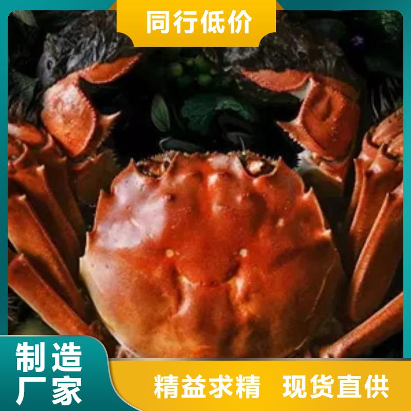 阳澄湖大闸蟹快速下单当地厂家