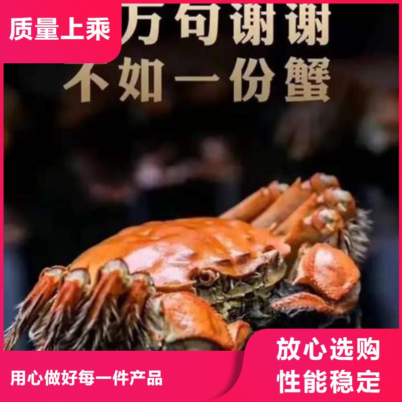 省心：阳澄湖大闸蟹厂家畅销当地