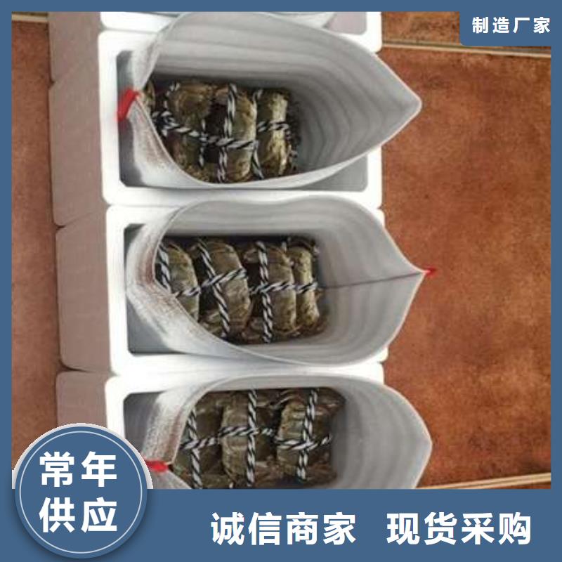 阳澄湖大闸蟹随时发货优良工艺