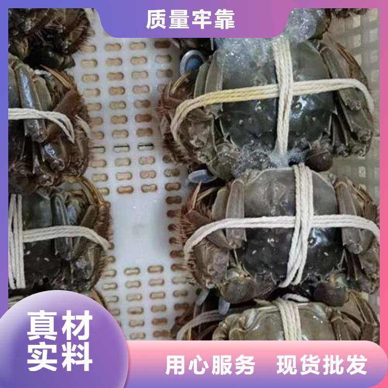 阳澄湖大闸蟹-物美价廉同城服务商