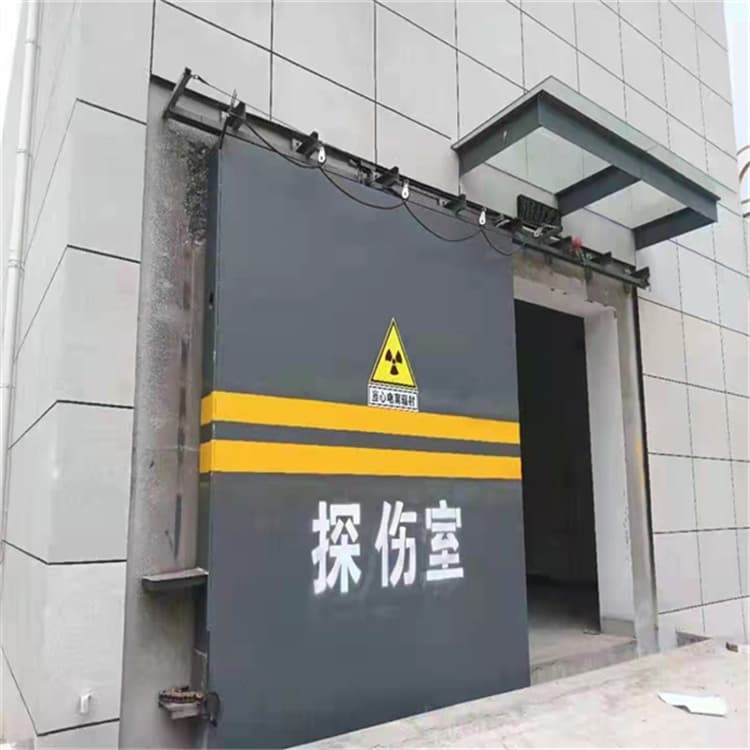 電動(dòng)推拉鉛門特殊規(guī)格可定做
