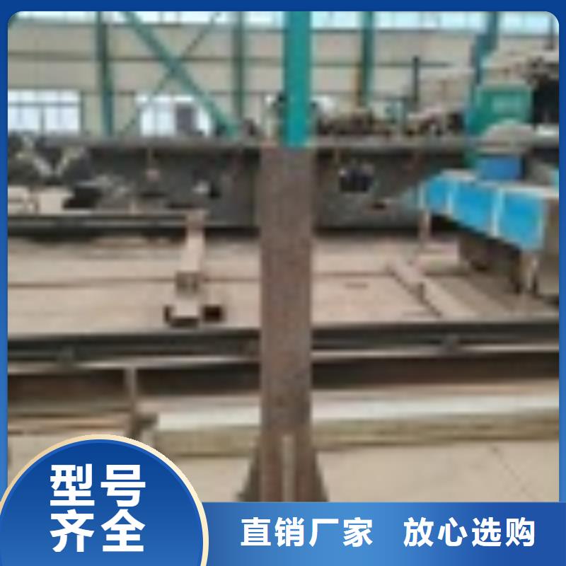 景觀河道護(hù)欄潮流新品當(dāng)?shù)貜S家