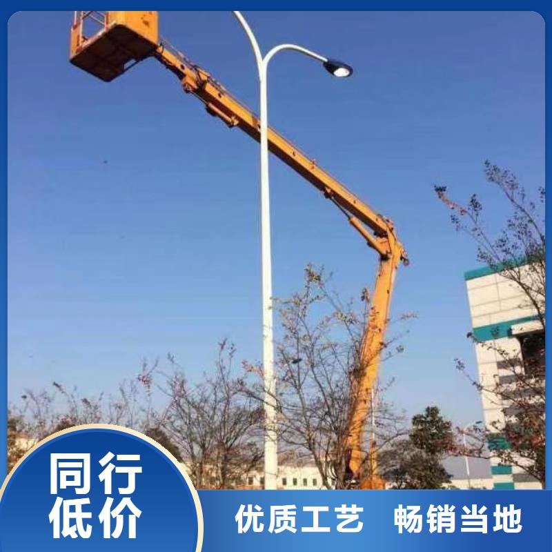 云浮路灯车出租信赖同城制造商