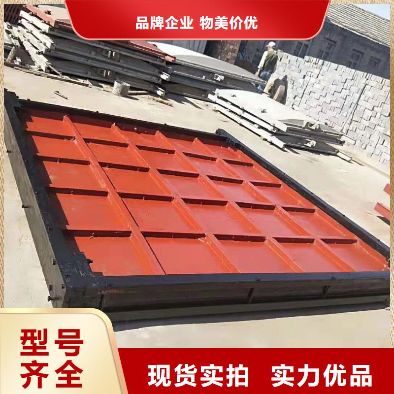 渠道閘門(mén)-閘門(mén)啟閉器值得信賴(lài)同城生產(chǎn)商