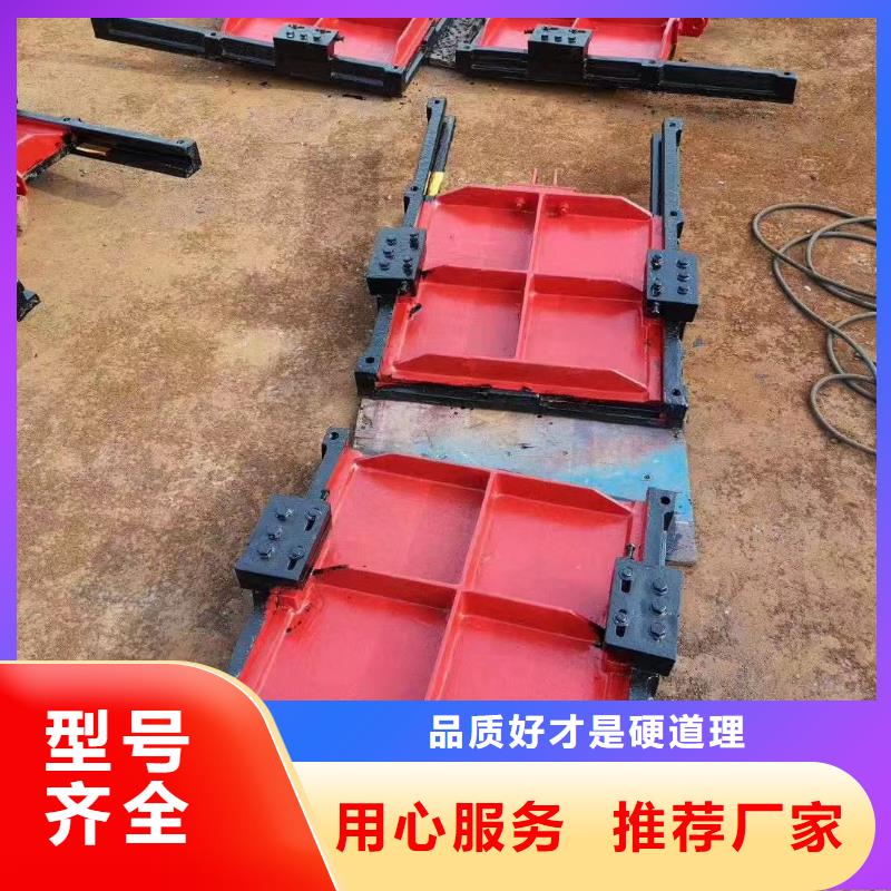 閘門啟閉機(jī)_p型止水帶閘門水封-價(jià)格多少嚴(yán)選材質(zhì)