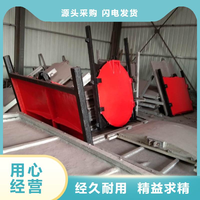 平面拱形閘門-水電站啟閉機(jī)閘門環(huán)保型本地貨源