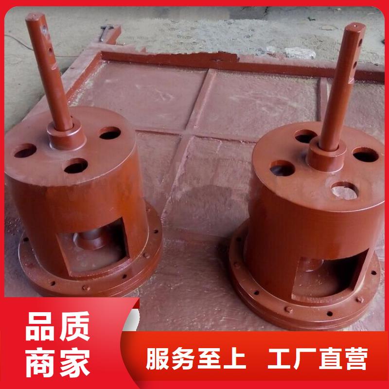 啟閉機(jī)閘門(mén)-平面閘門(mén)帶直聯(lián)啟閉機(jī)老品牌批發(fā)供應(yīng)