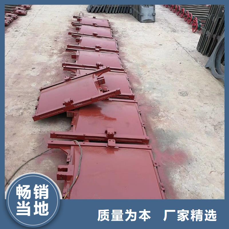 啟閉機(jī)閘門-水電站水渠鑄鐵閘門實(shí)力雄厚資質(zhì)認(rèn)證