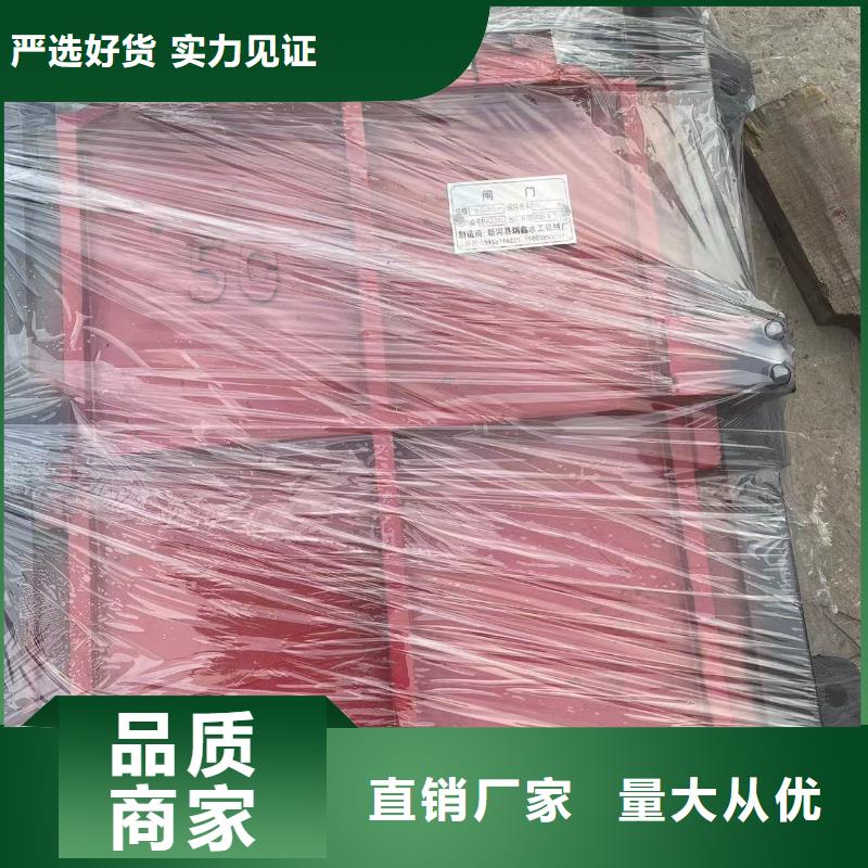 啟閉機(jī)閘門-p型止水帶閘門水封免費(fèi)安裝調(diào)試同城貨源