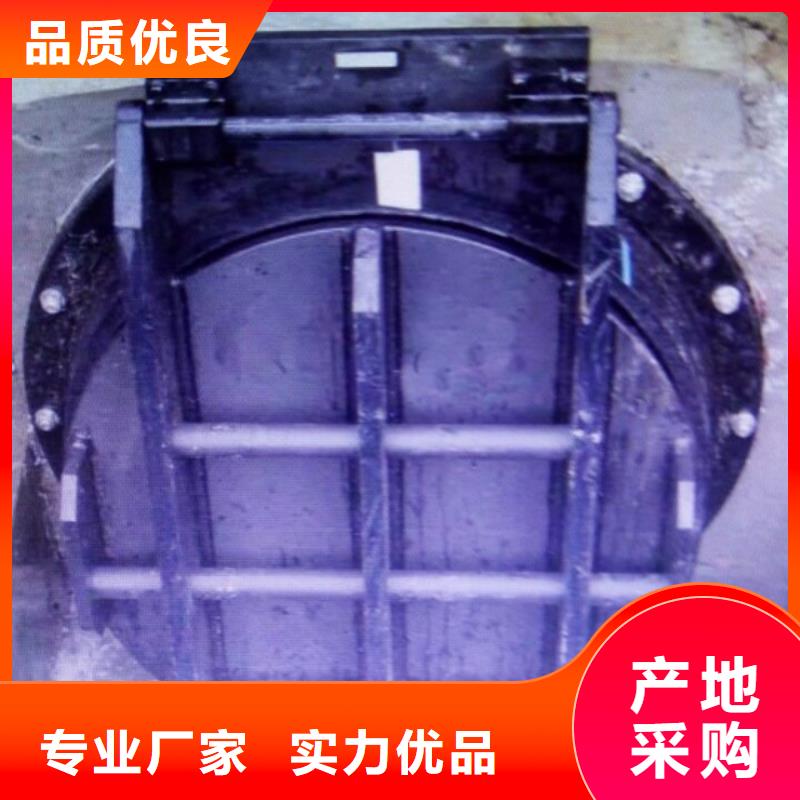 啟閉機(jī)鋼制拍門(mén)單價(jià)質(zhì)檢嚴(yán)格