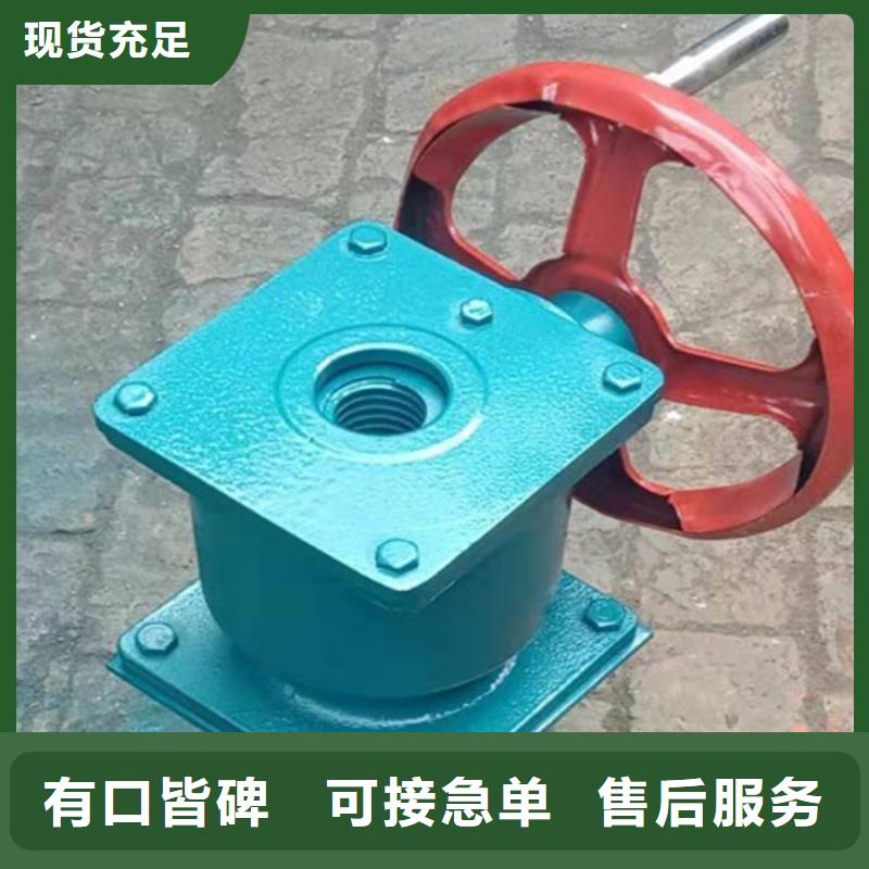 啟閉機(jī)10噸螺桿啟閉機(jī)老牌廠家設(shè)備齊全支持定制