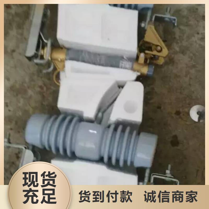 高壓熔斷器/PRW12-10/100A.定制銷售售后為一體