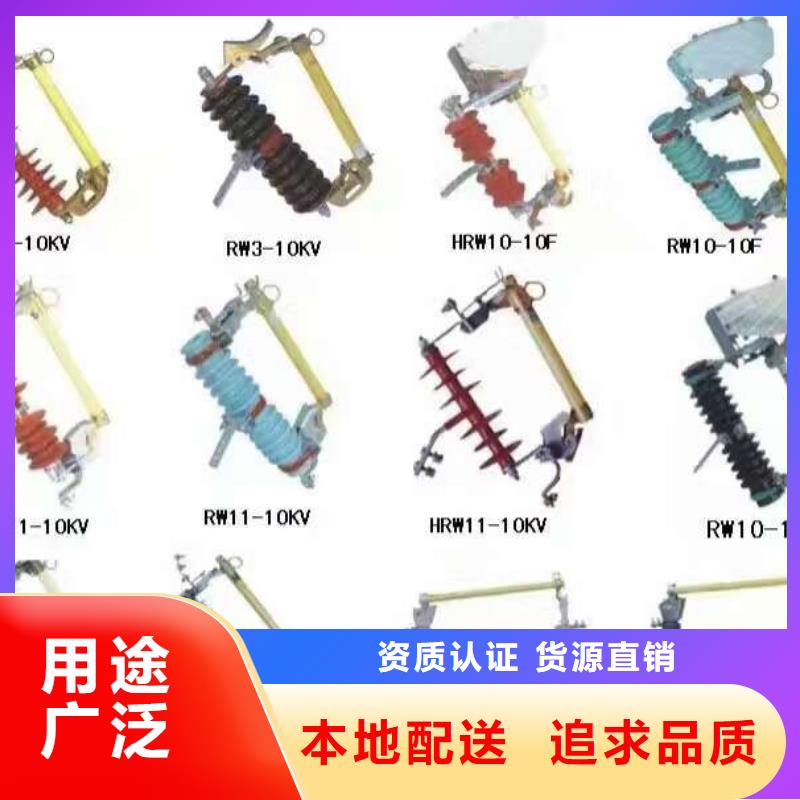 企業(yè)：高壓熔斷器/RW7-10/100-6.3精選優(yōu)質(zhì)材料