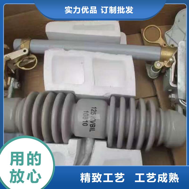 _避雷器YH5CX2-42/150J【羿振電氣】同城公司