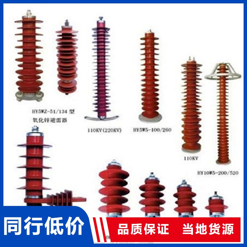 【避雷器】YH5WS1-52.7/134匠心品质