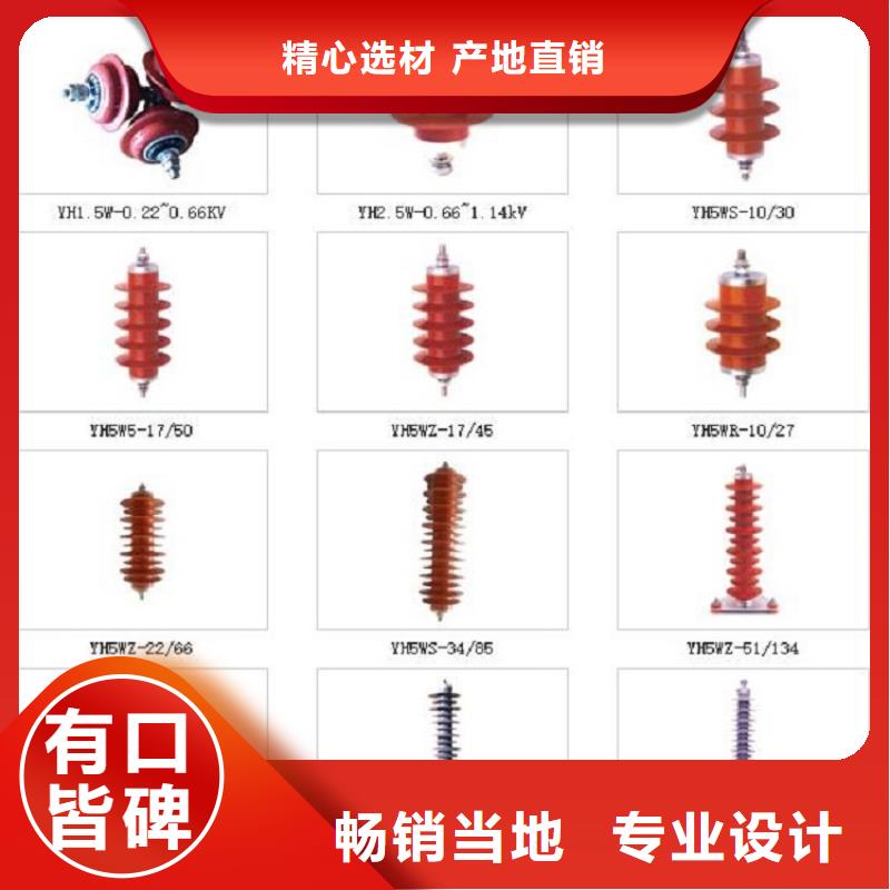 避雷器Y10W-100/260浙江羿振电气有限公司保质保量