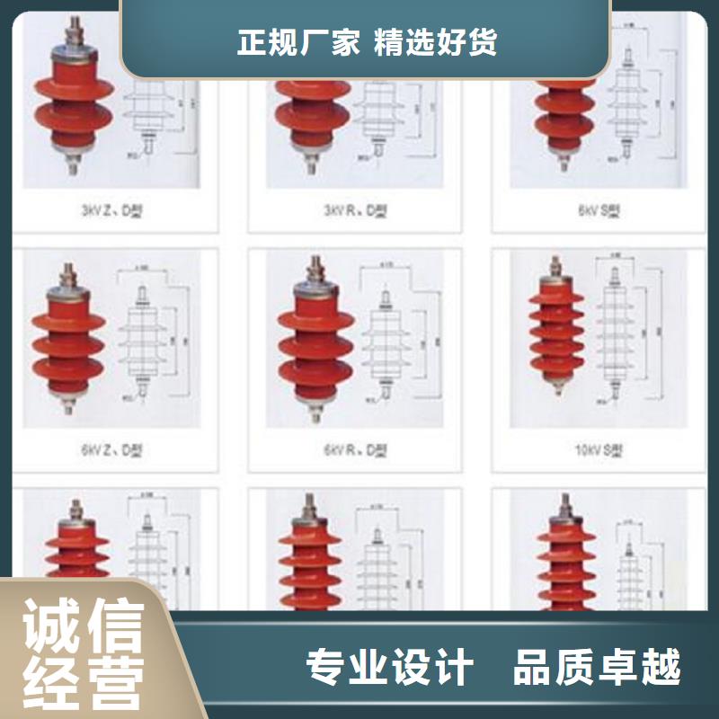 避雷器HY5W5-17/45L 【羿振电力】同城品牌