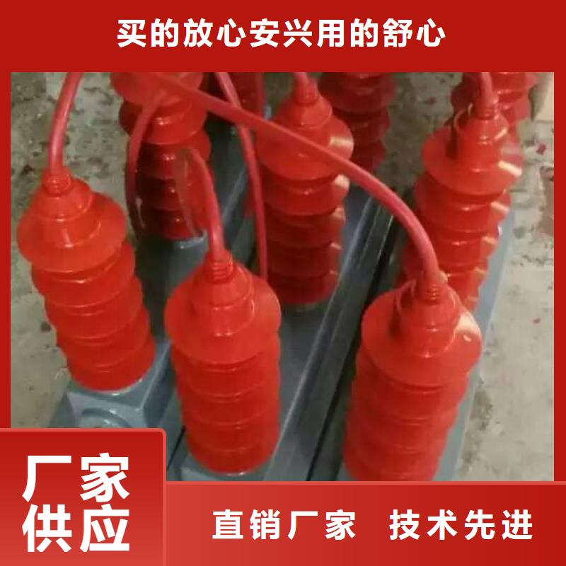 ＿過(guò)電壓保護(hù)器(組合式避雷器)TBP-A-42F/630W品質(zhì)保證