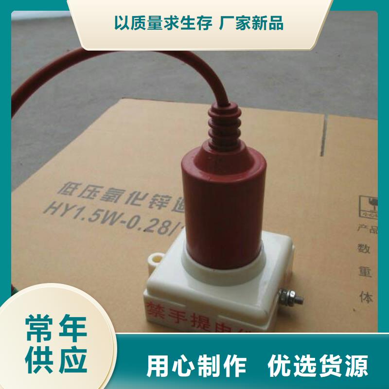 【组合式避雷器】TBP-C-10.5/85-J