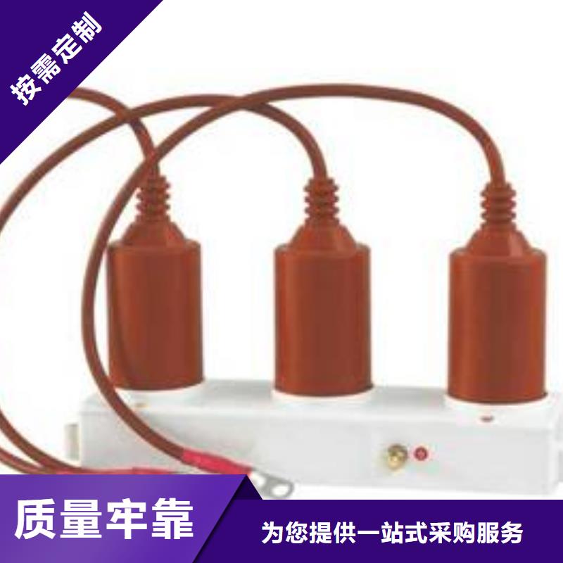 【】保护器(组合式避雷器)BSTG-A-7.6多种规格库存充足