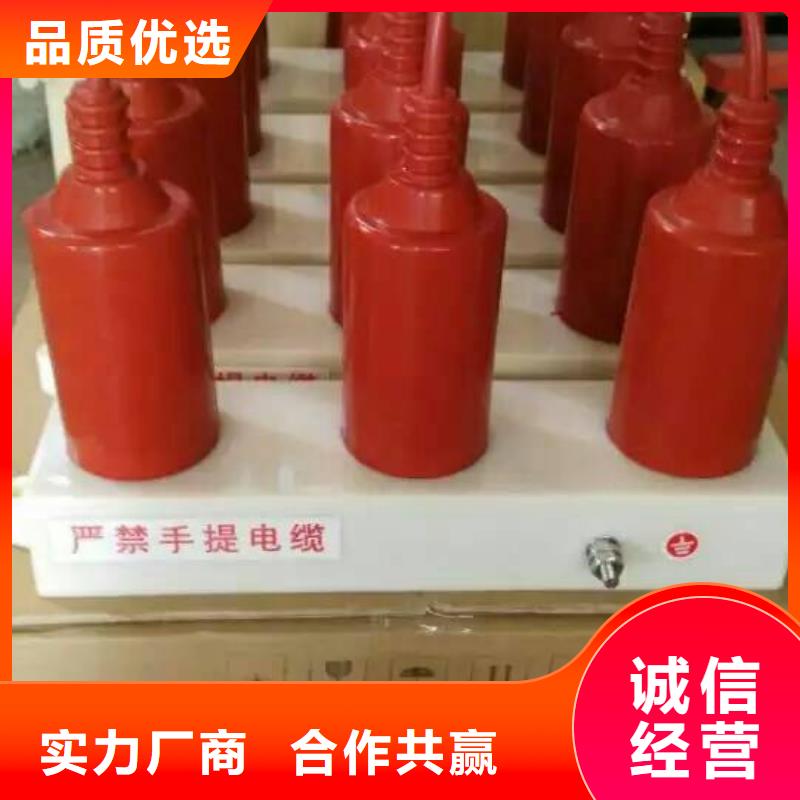 【】保護(hù)器(組合式避雷器)RY-GDY1-A/3組合過電壓保護(hù)器精選好貨