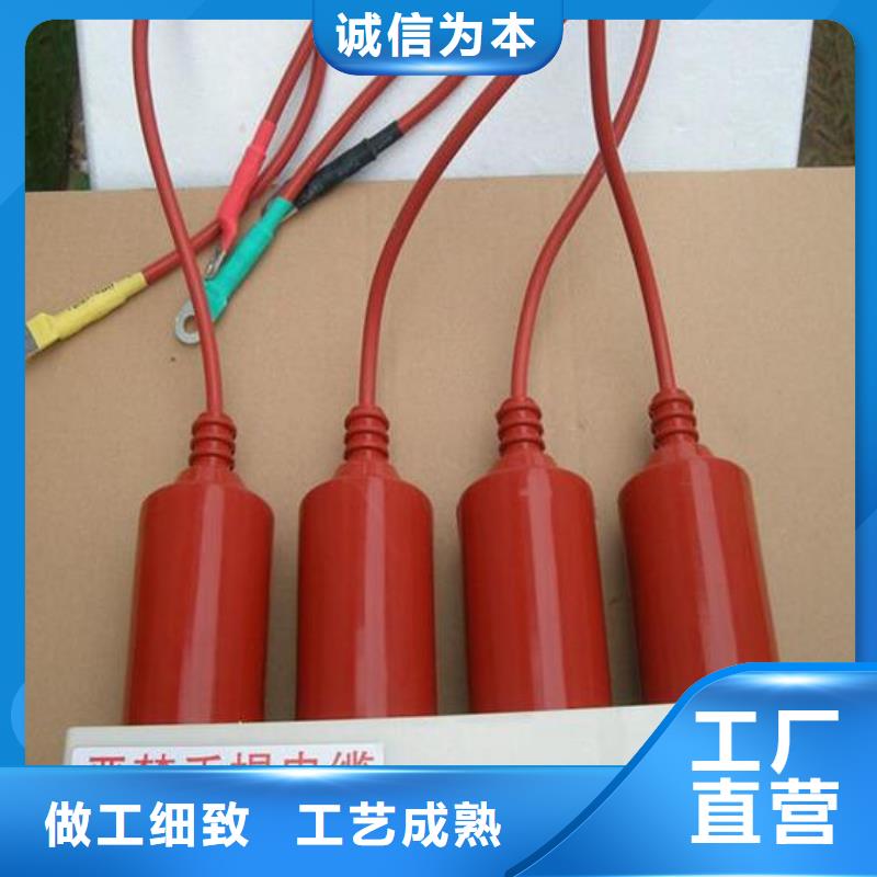 過電壓保護(hù)器(組合式避雷器)TBP-B-12.7F/150-J卓越品質(zhì)保障