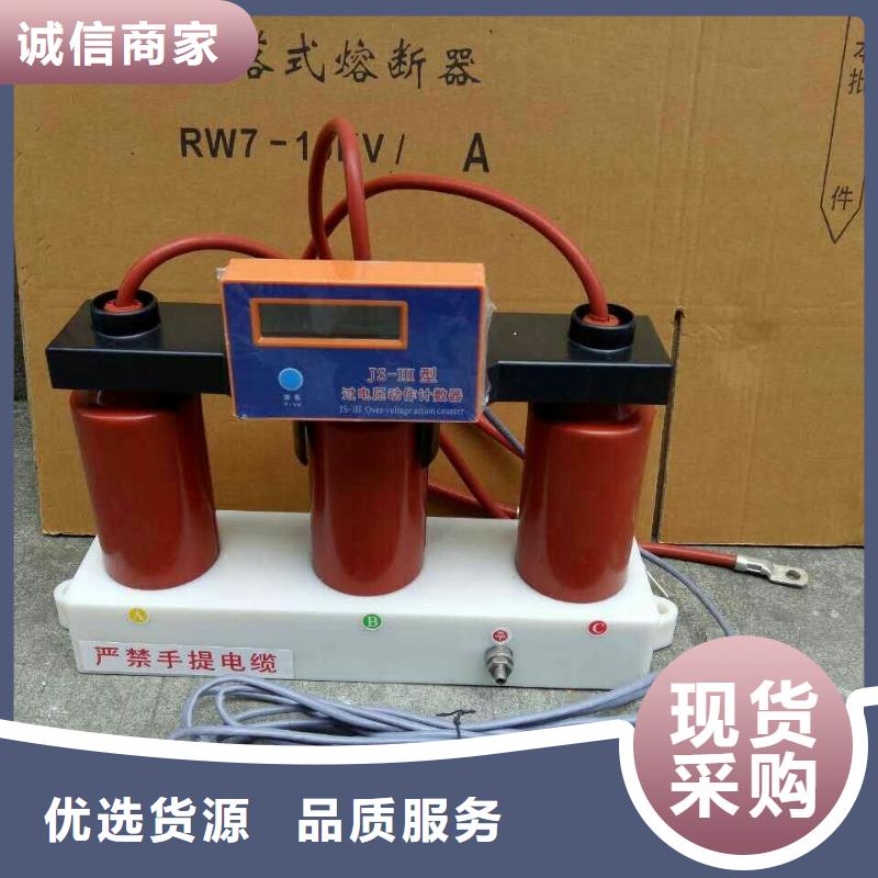 烏魯木齊_過電壓保護器(組合式避雷器)TBP-B-12.7/150