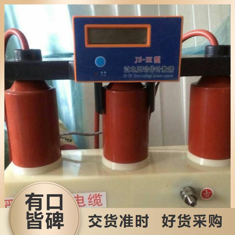 【】保护器(组合式避雷器)TBP-A-10.5/131-J匠心制造