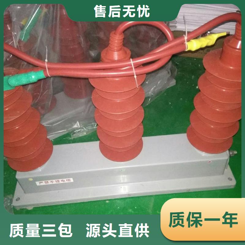 【羿振电力牌】过电压保护器TBP-B-7.6F/85-J源头厂家供应