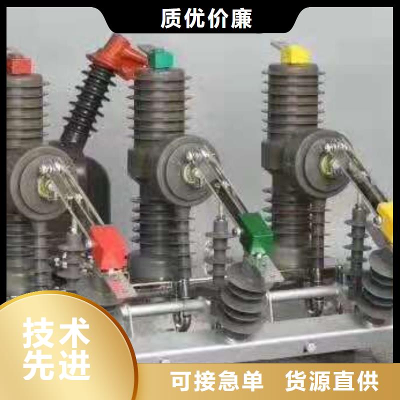 品牌【羿振电气】高压断路器ZW32-12F同城公司