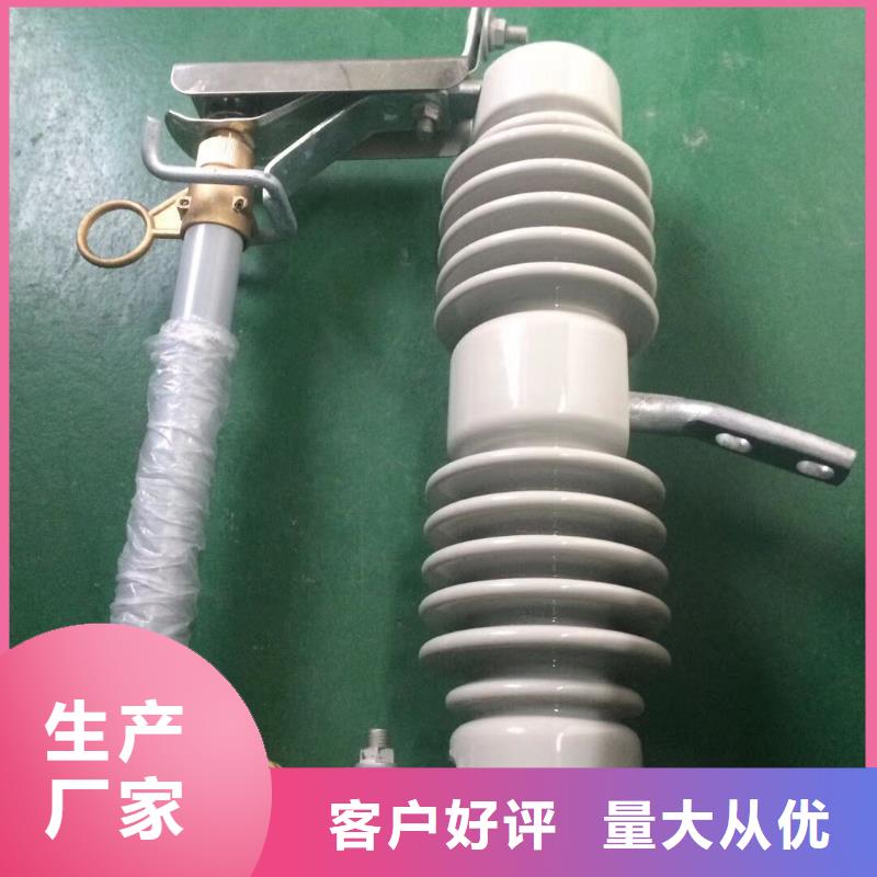 行业资讯：

高压熔断器/RW10-10KV/100A厂家案例