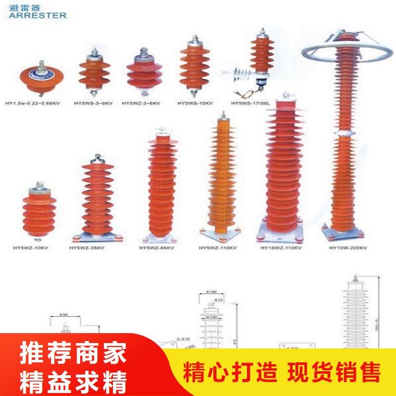 瓷外套金属氧化物避雷器Y10W-200/520同城公司