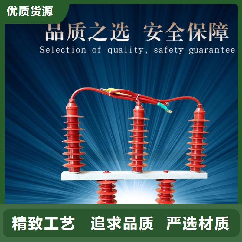 【羿振電氣】過(guò)電壓保護(hù)器高壓組合式避雷器