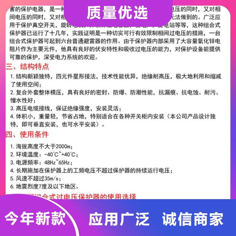 【羿振電氣】過(guò)電壓保護(hù)器高壓組合式避雷器