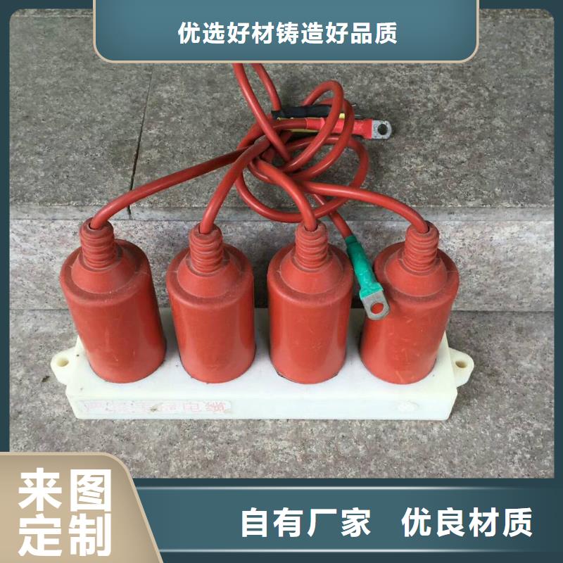 【羿振電力設(shè)備】過電壓保護器(組合式避雷器)BSTG-B-6-J