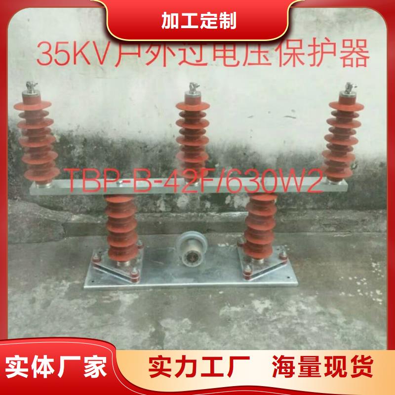 【避雷器/过电压保护器】TBP-B-35/630W2产地直供