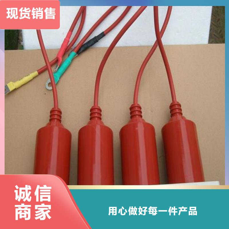 【羿振電力設(shè)備】過電壓保護器(組合式避雷器)BSTG-B-6-J