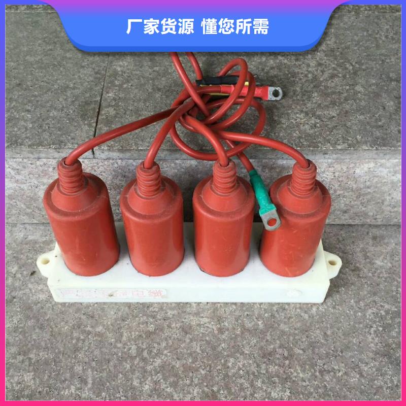 【羿振電氣】過(guò)電壓保護(hù)器高壓組合式避雷器