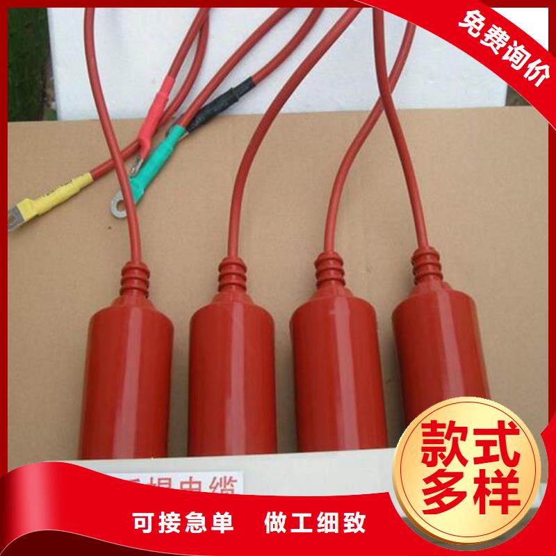 【过电压保护器/组合式避雷器】TBP-B-7.6/131批发价格