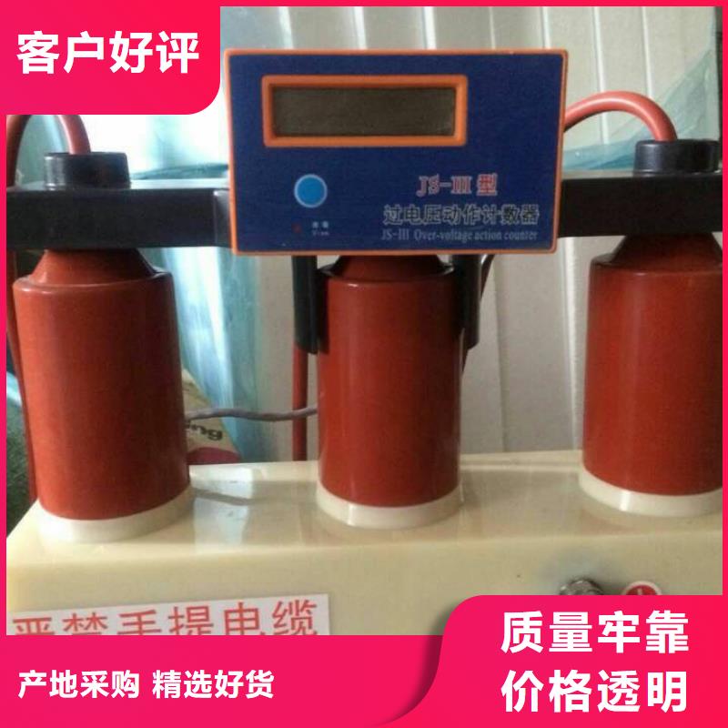 【】过电压保护器BSTG-B-7.6真材实料加工定制