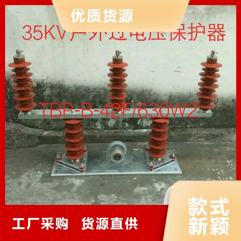【羿振牌】〖過電壓保護(hù)器〗TBP-B-12.7F/45 廠家供應(yīng)