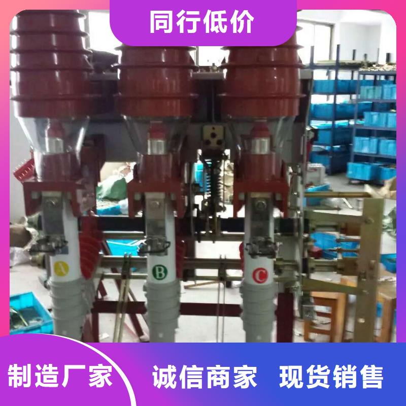 高壓負(fù)荷開(kāi)關(guān)FZN40-10D/T125-31.5 現(xiàn)貨齊全