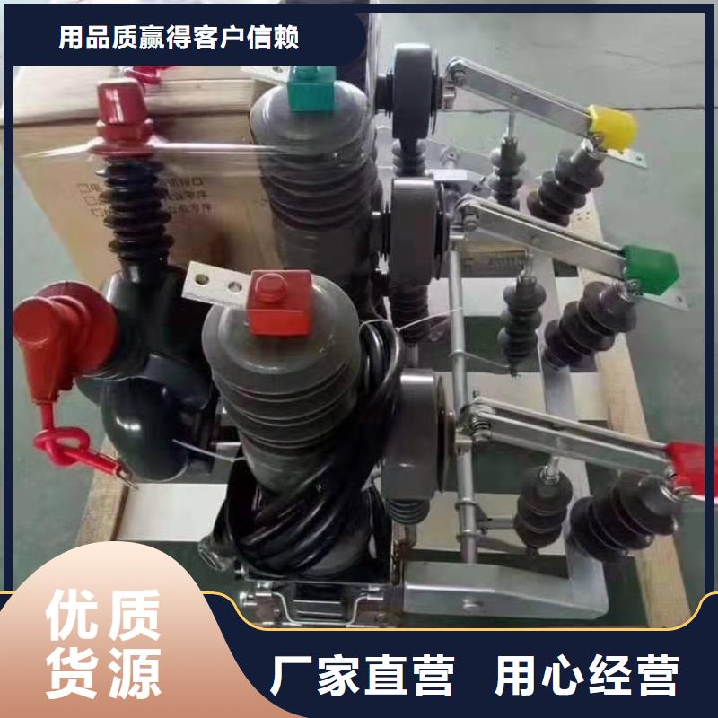 【高压真空断路器】真空断路器ZW32-12MG/63024小时下单发货